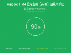 Windows 11 26H1 64位 纯净 专业版 超纯净游戏专